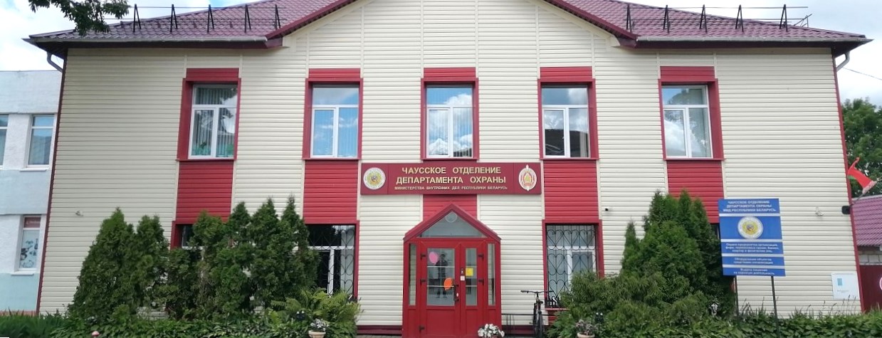 чаусы.jpg